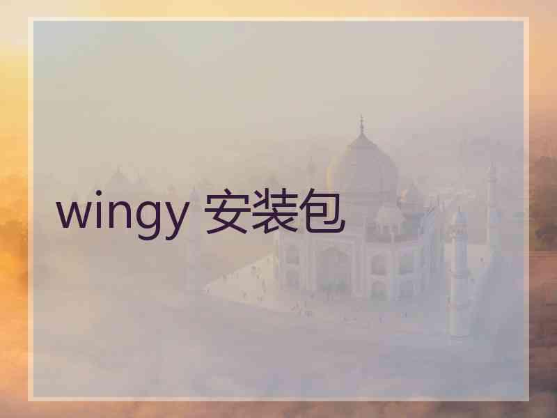 wingy 安装包