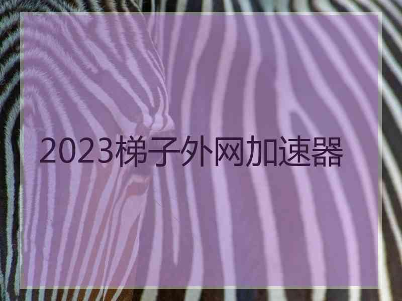 2023梯子外网加速器