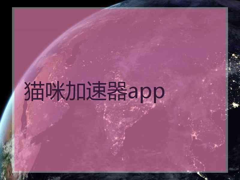 猫咪加速器app