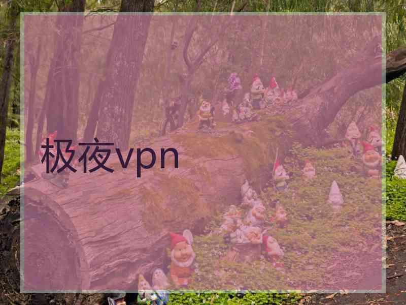 极夜vpn