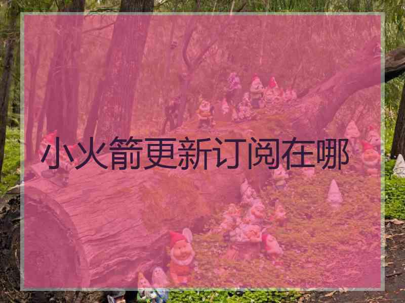 小火箭更新订阅在哪