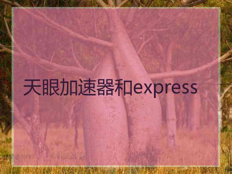 天眼加速器和express