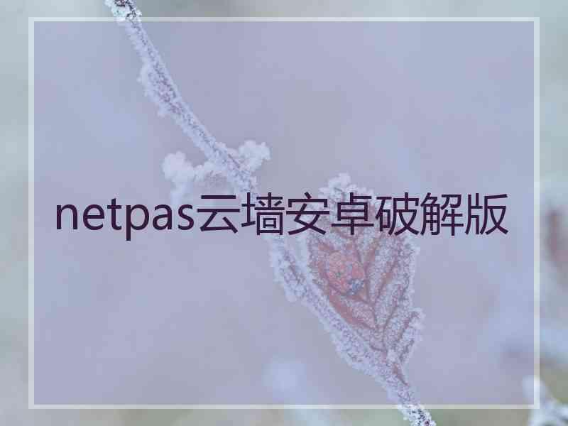 netpas云墙安卓破解版