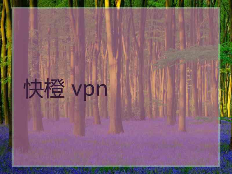 快橙 vpn