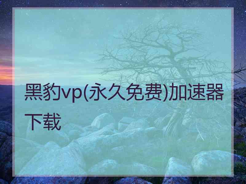 黑豹vp(永久免费)加速器下载