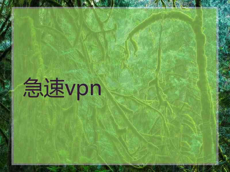 急速vpn