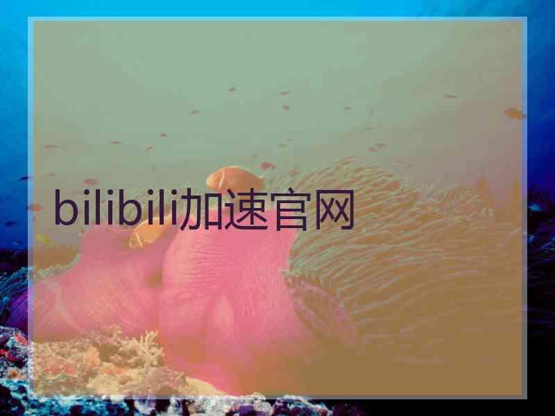 bilibili加速官网