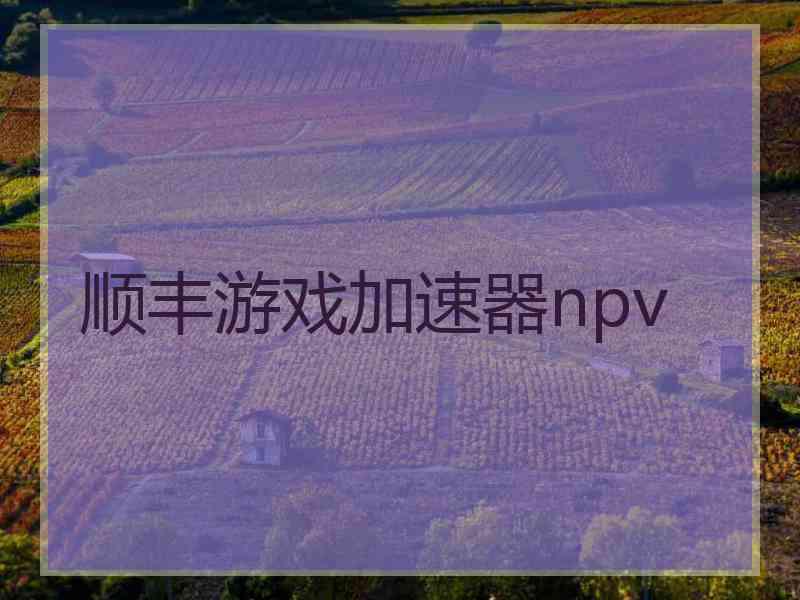 顺丰游戏加速器npv