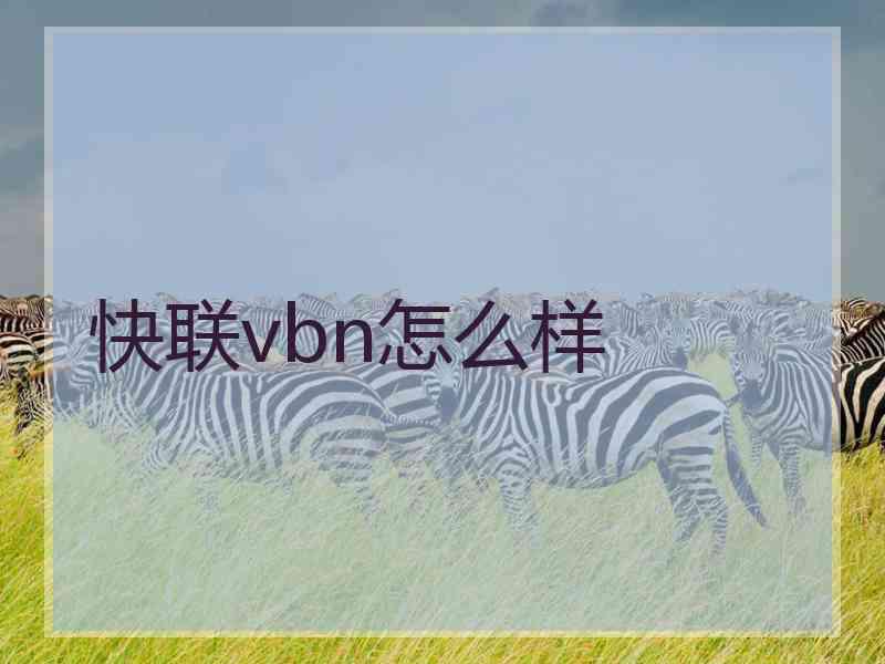 快联vbn怎么样