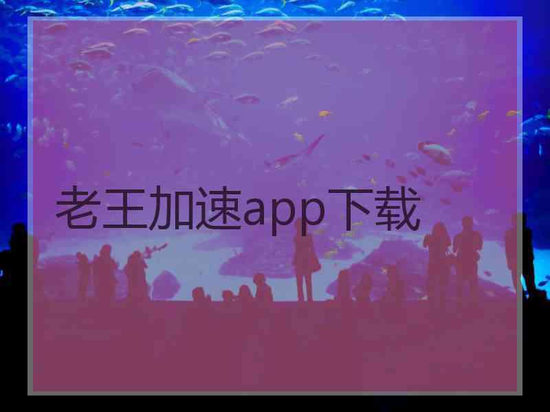 老王加速app下载