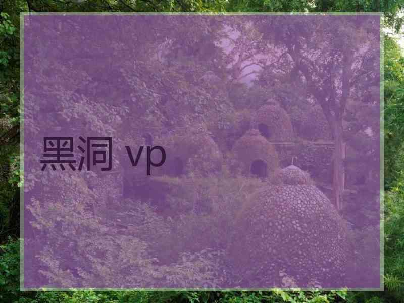 黑洞 vp