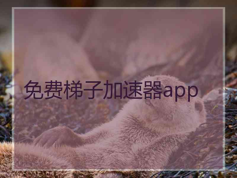 免费梯子加速器app