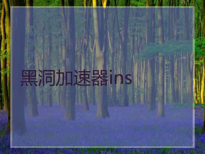 黑洞加速器ins