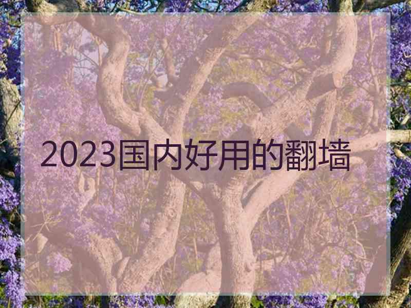 2023国内好用的翻墙