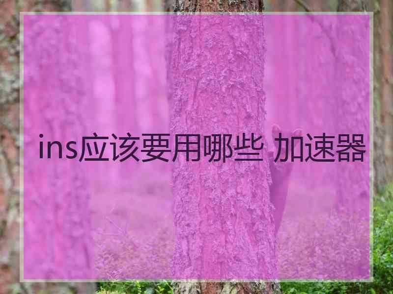 ins应该要用哪些 加速器