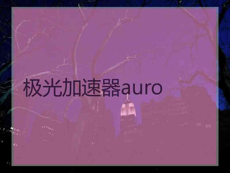 极光加速器auro