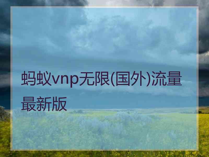 蚂蚁vnp无限(国外)流量最新版