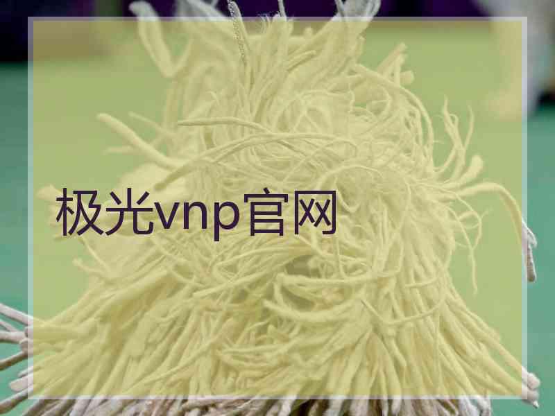 极光vnp官网