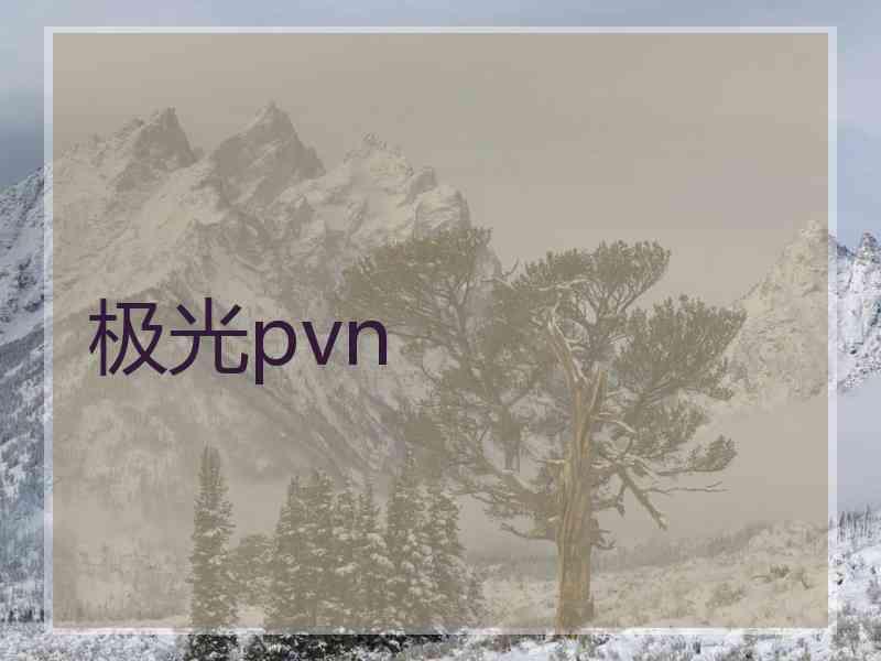 极光pvn