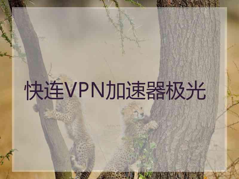 快连VPN加速器极光