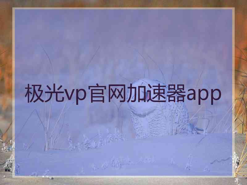 极光vp官网加速器app