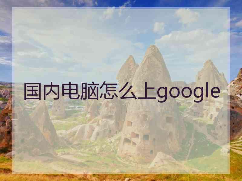 国内电脑怎么上google