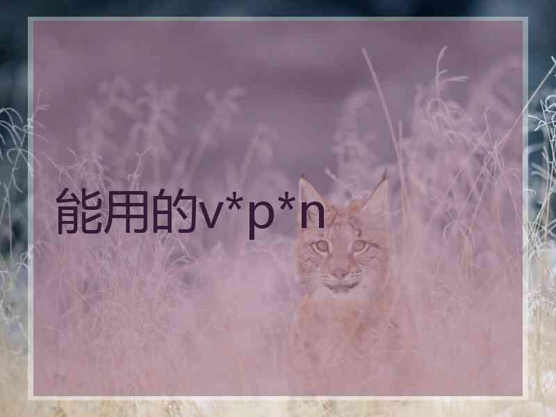 能用的v*p*n