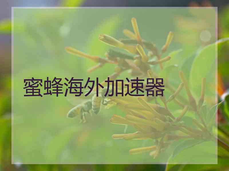 蜜蜂海外加速器