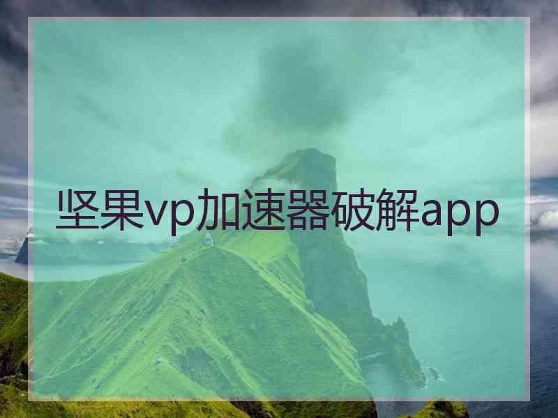 坚果vp加速器破解app