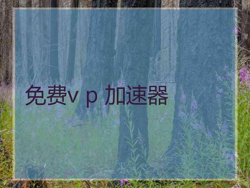 免费v p 加速器