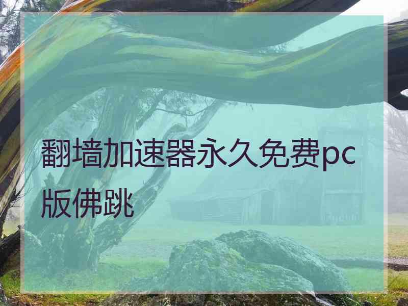 翻墙加速器永久免费pc版佛跳