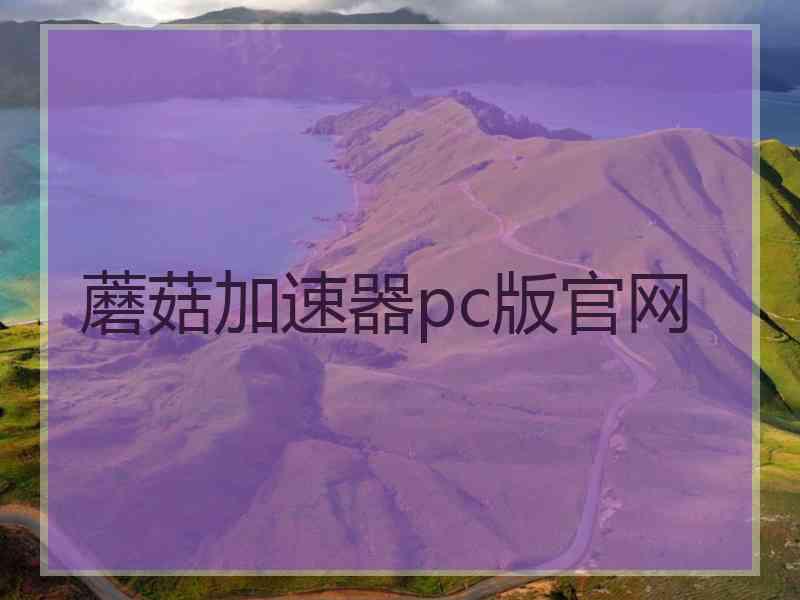 蘑菇加速器pc版官网