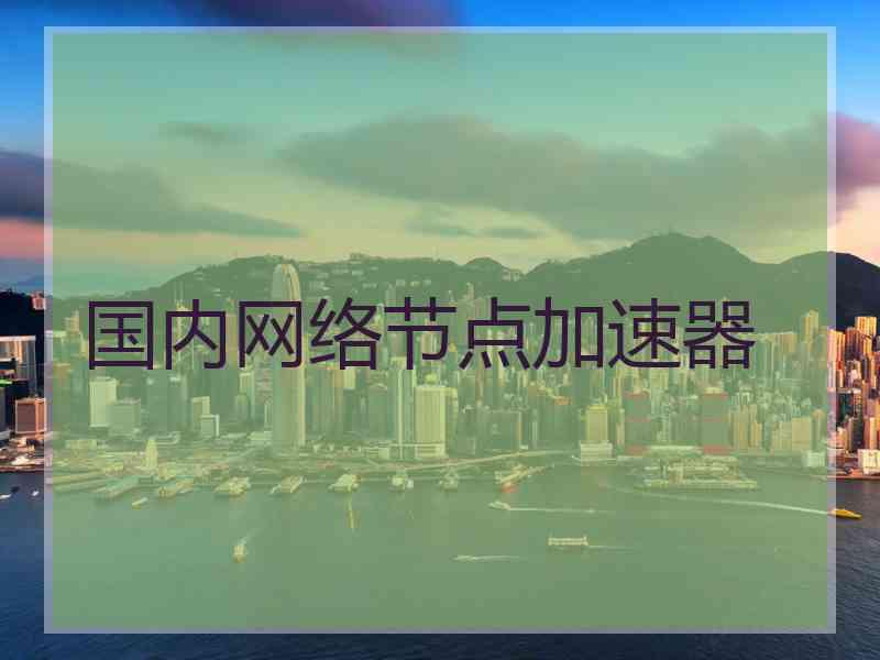 国内网络节点加速器