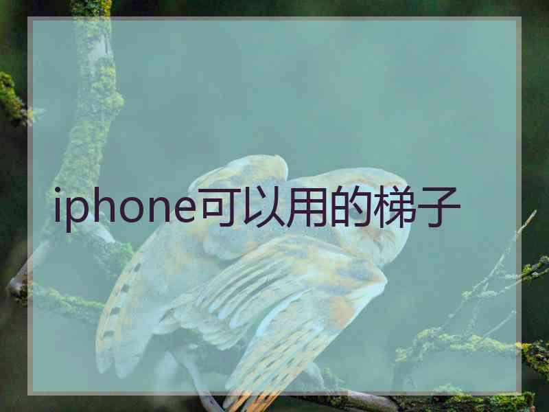 iphone可以用的梯子