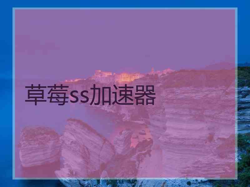 草莓ss加速器