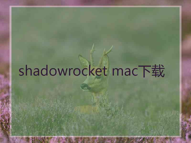 shadowrocket mac下载