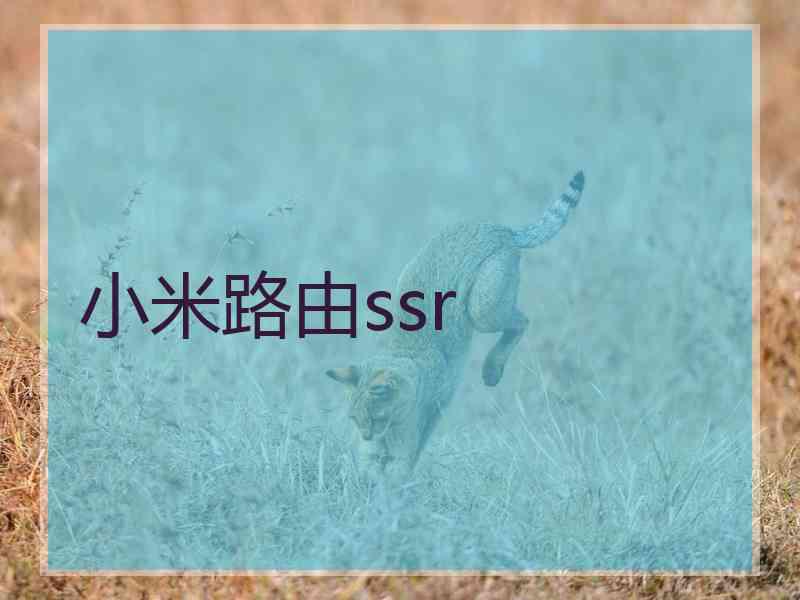 小米路由ssr