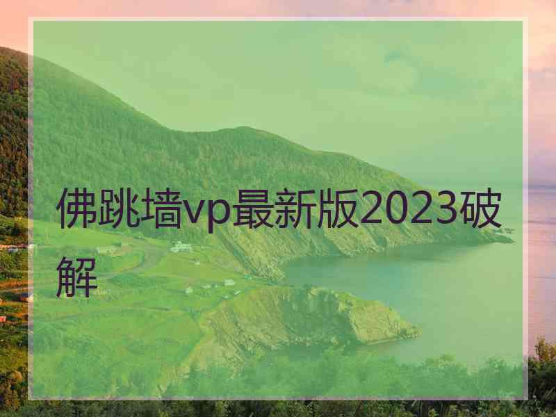 佛跳墙vp最新版2023破解