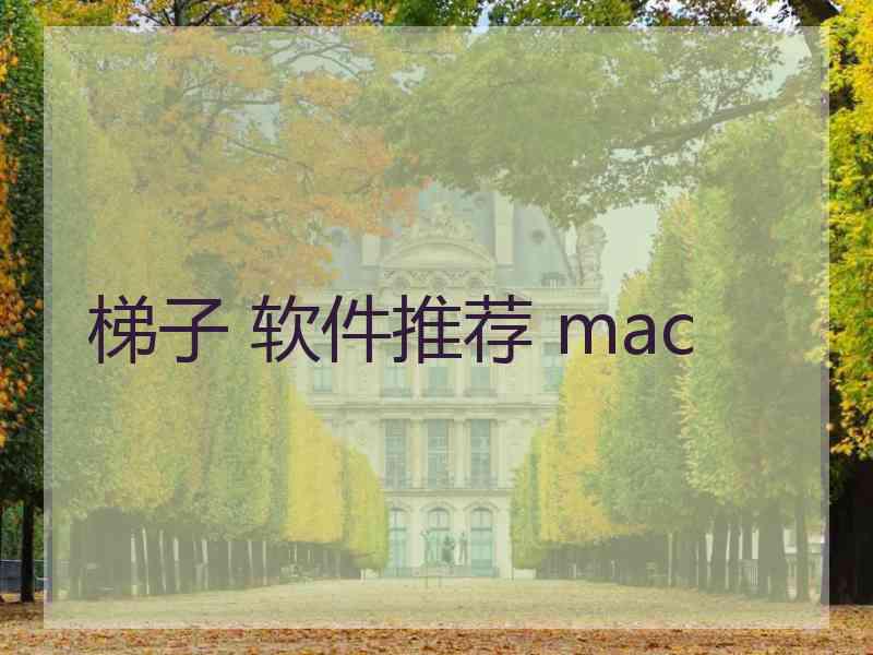 梯子 软件推荐 mac