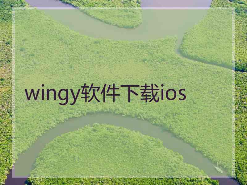 wingy软件下载ios