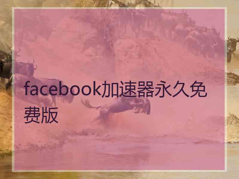 facebook加速器永久免费版