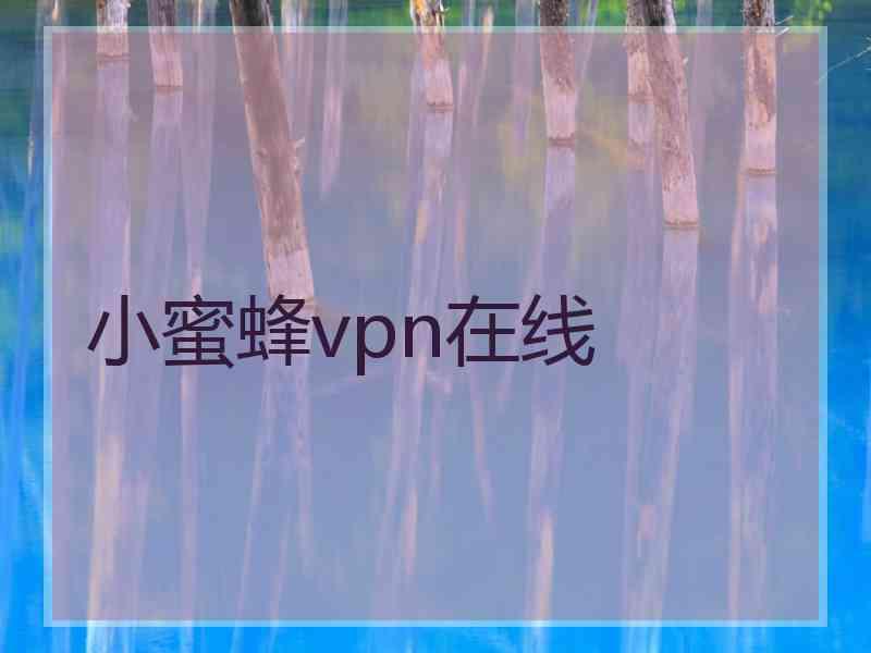 小蜜蜂vpn在线