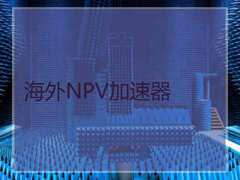 海外NPV加速器