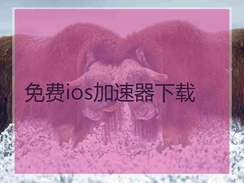 免费ios加速器下载