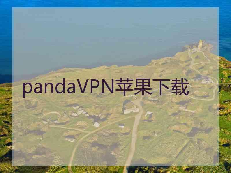 pandaVPN苹果下载