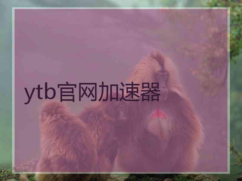 ytb官网加速器