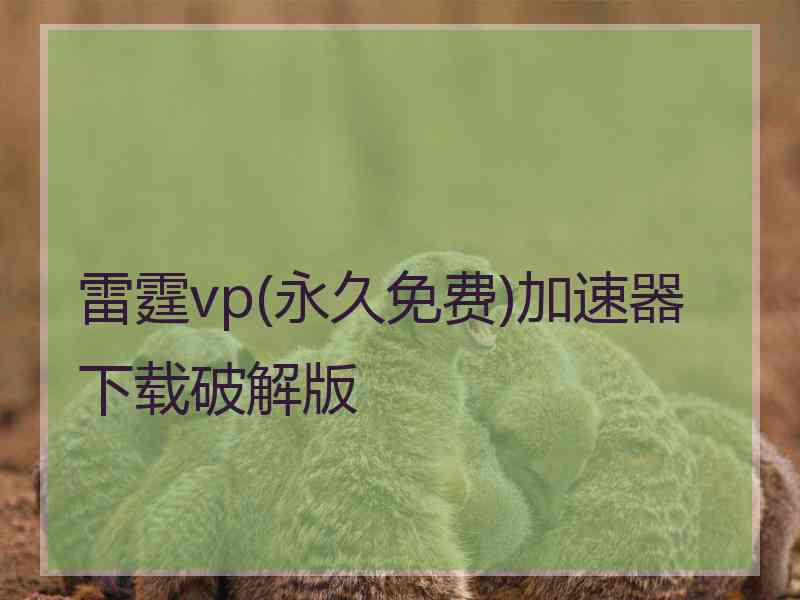 雷霆vp(永久免费)加速器下载破解版