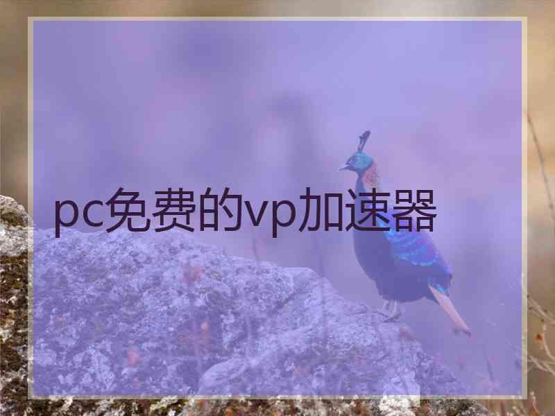 pc免费的vp加速器