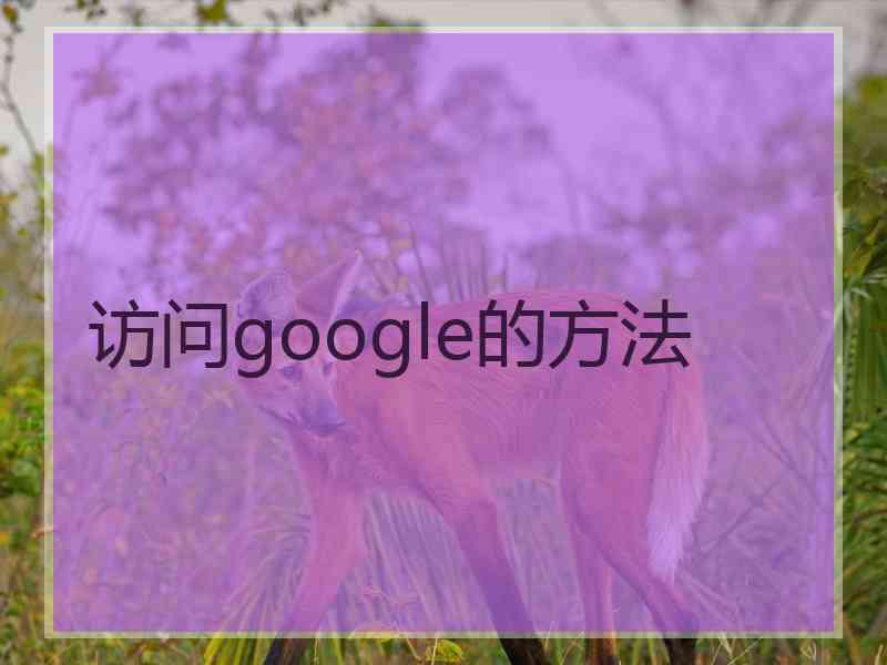 访问google的方法