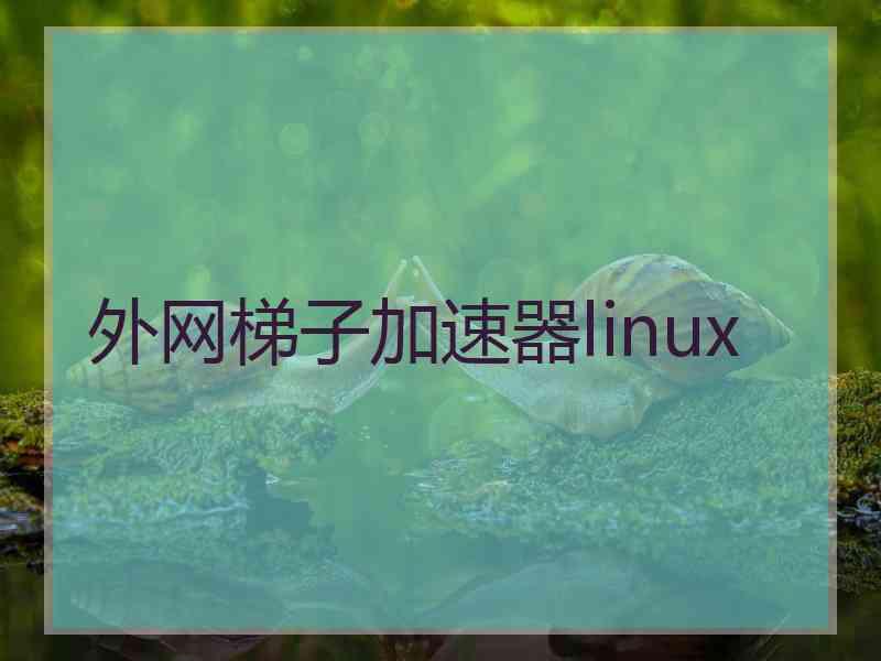 外网梯子加速器linux